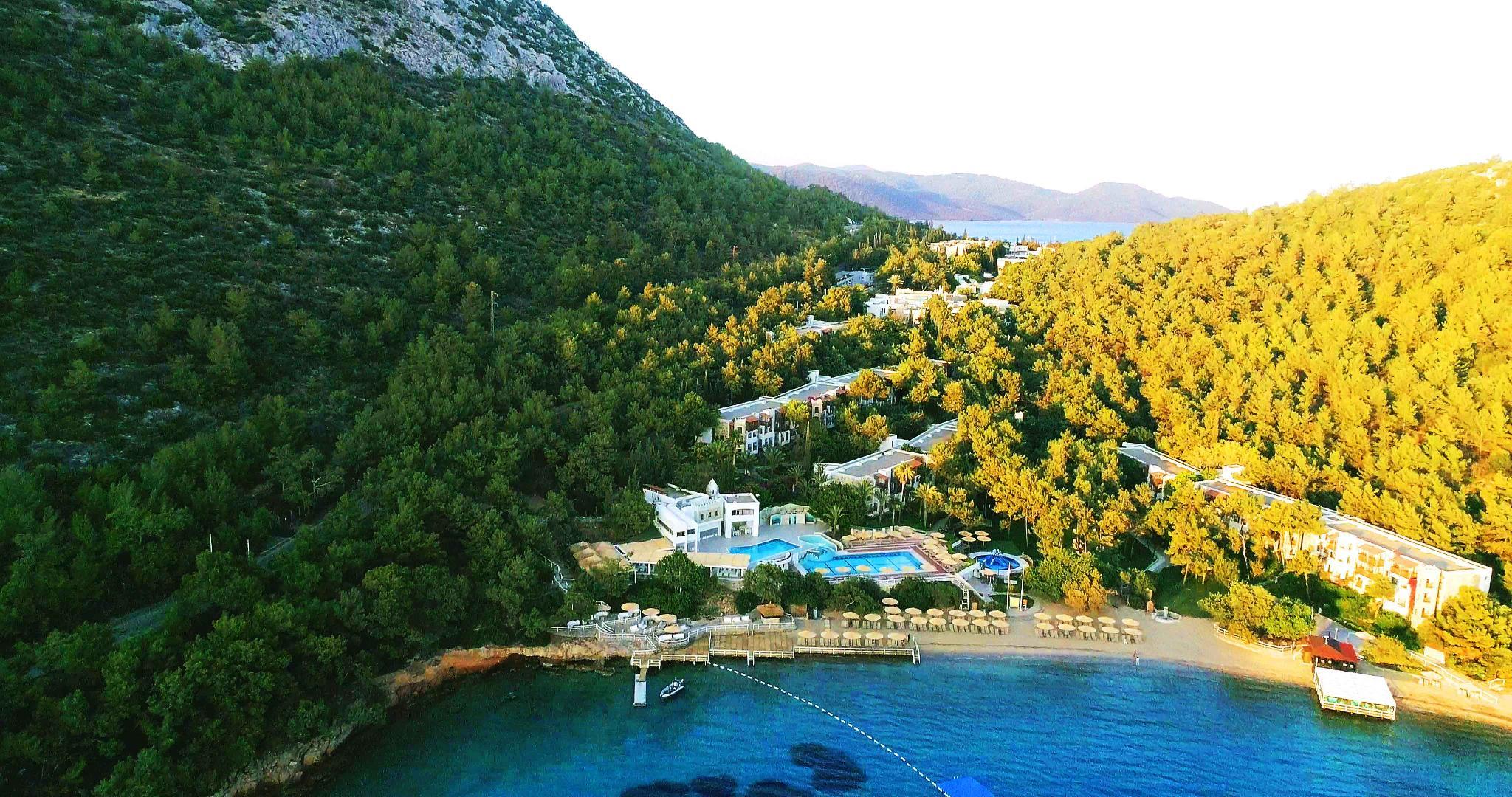Kral Suite - 2